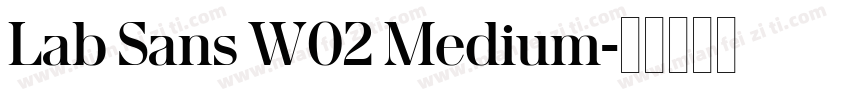 Lab Sans W02 Medium字体转换